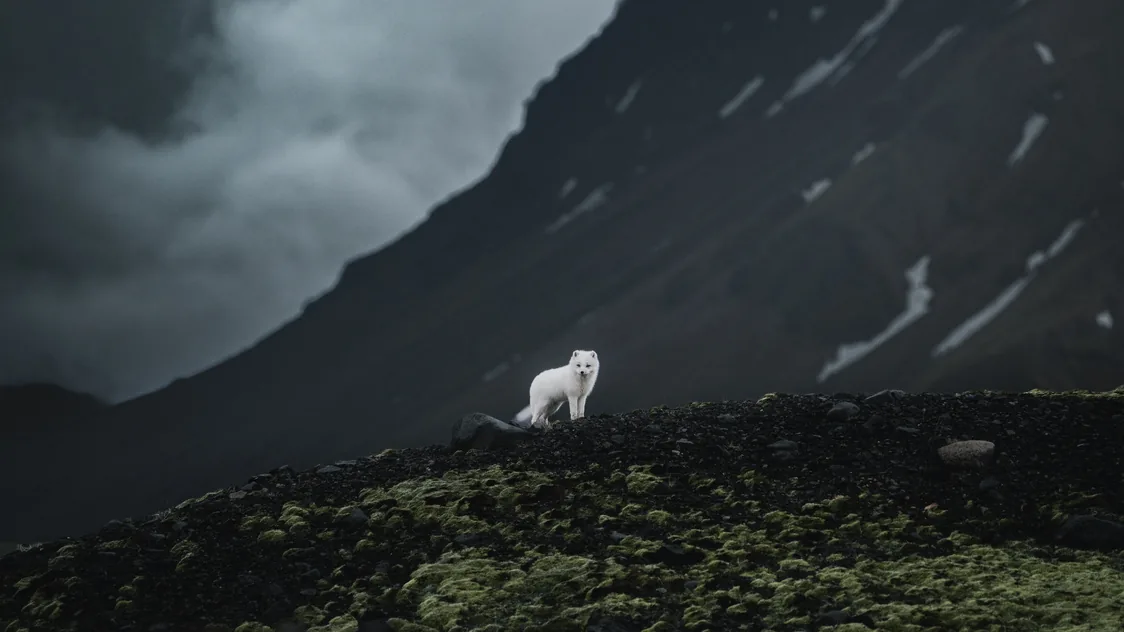 Islandia