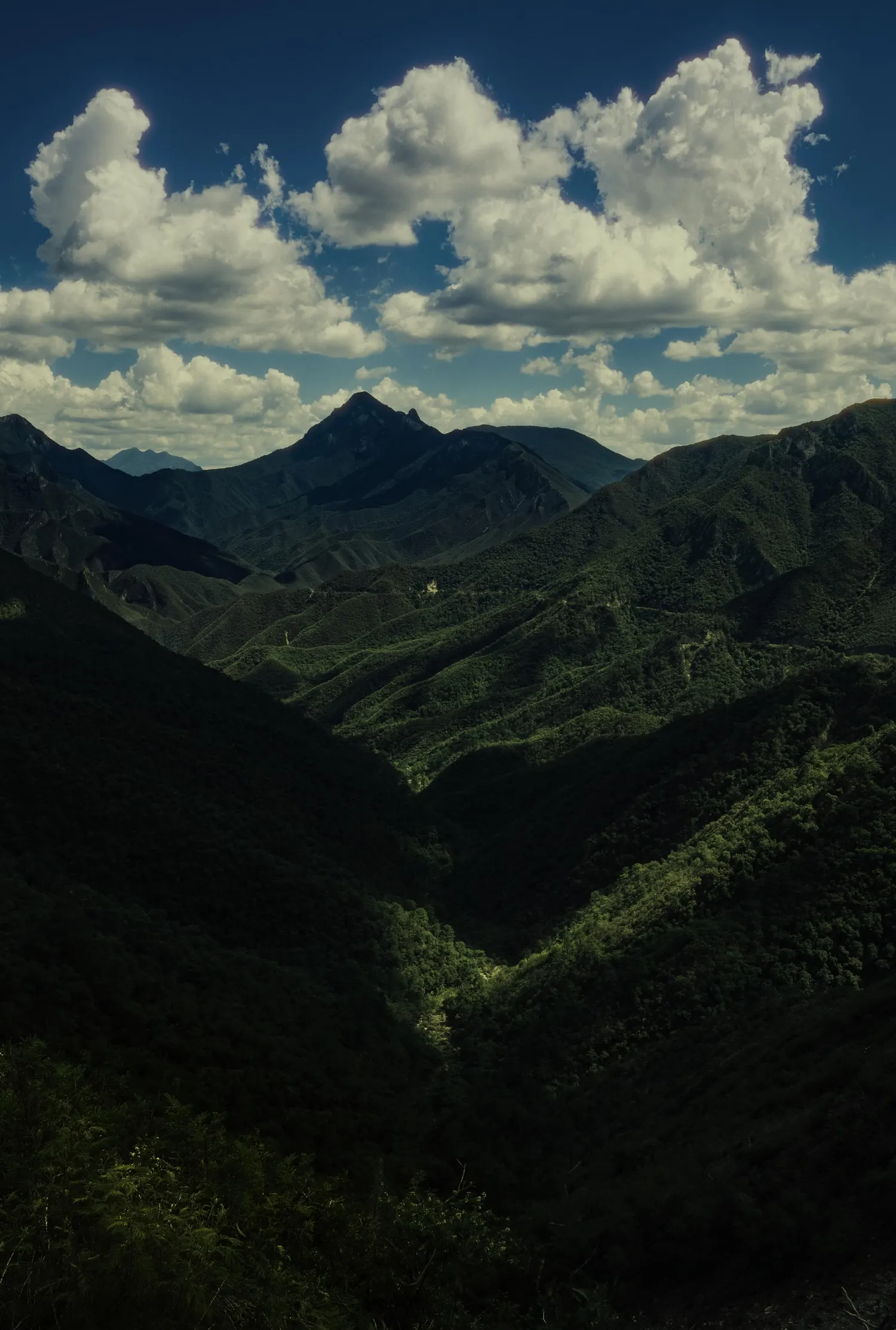 Madeira · 1